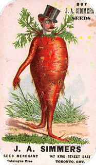 Carrot Guy