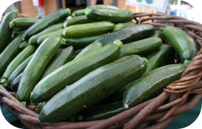 Basket of Zucchinis